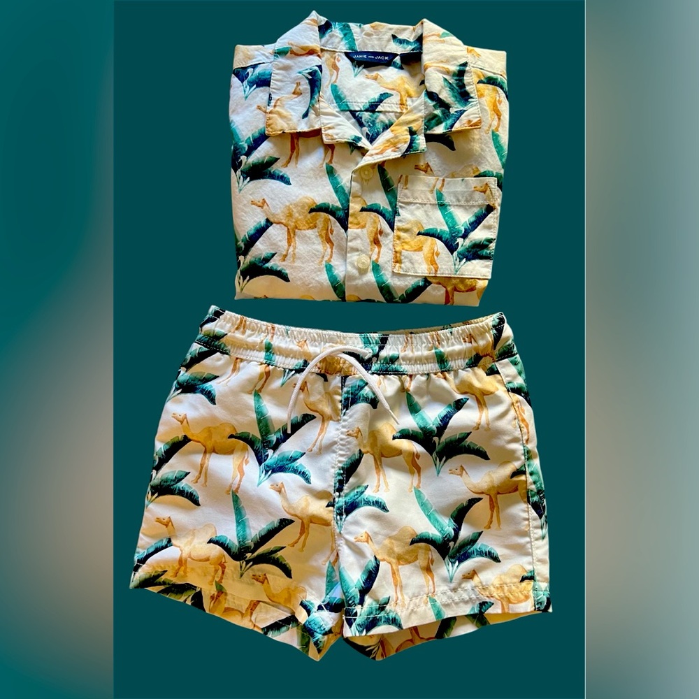 JANIE and JACK | OLD NAVY Short Sleeve Shirt & 2-Piece Swim Set | 2T | Preowned - Picture 2 of 10